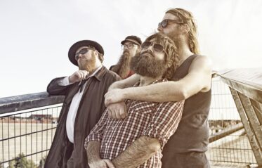 Afbeelding voor The Beards