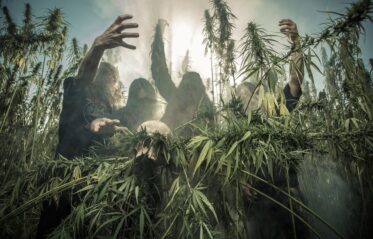 Afbeelding voor Belzebong + The Necromancers