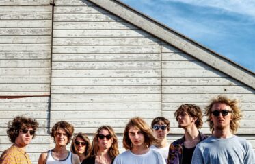 Afbeelding voor Palmsy + Midas