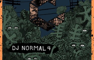 Afbeelding voor DJ Normal 4 + MV