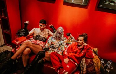 Afbeelding voor Fata Boom