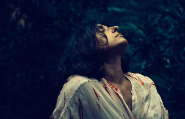 Afbeelding voor Het Gelders Orkest met Cristina Branco