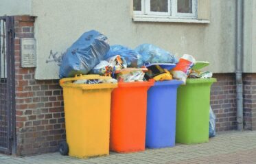 Afbeelding voor Borokov Borokov