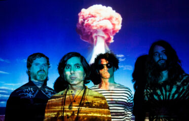 Afbeelding voor Elephant Stone