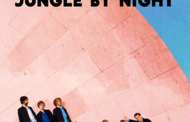 Afbeelding voor Jungle by Night