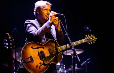 Afbeelding voor Frank Boeijen livestream