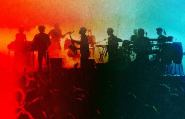 Afbeelding voor Jungle By Night