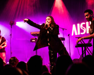 Festival Logo Flemming