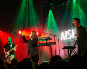 Festival Logo Flemming