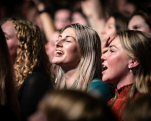 Festival Logo Flemming