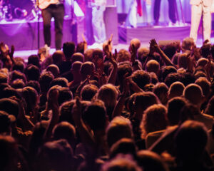 Festival Logo De Dijk