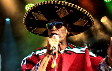 Eek-A-Mouse sombrero