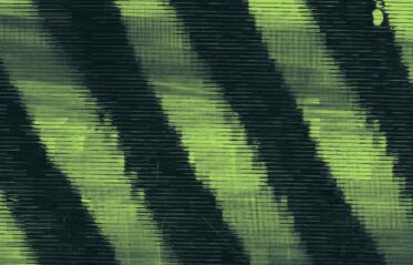 Image for Zeitgeist 2025