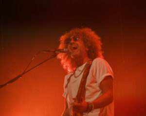 Festival Logo Goldkimono