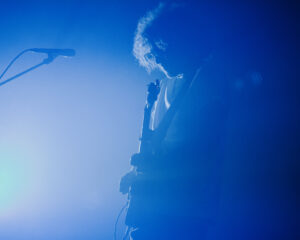 Festival Logo Goldkimono