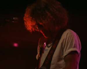 Festival Logo Goldkimono