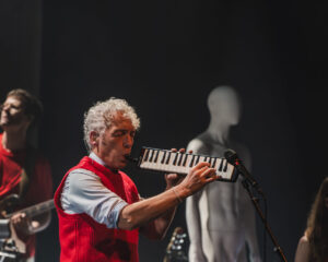 Festival Logo Spinvis