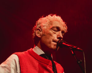 Festival Logo Spinvis