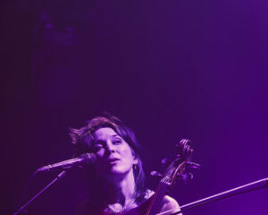 Festival Logo Spinvis