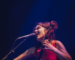 Festival Logo Spinvis