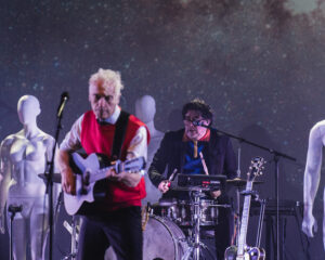 Festival Logo Spinvis