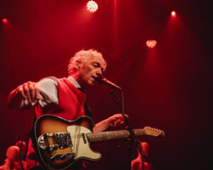 Spinvis - door Bram Versteeg