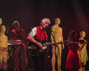 Festival Logo Spinvis