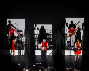 Festival Logo Spinvis