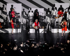 Festival Logo Spinvis