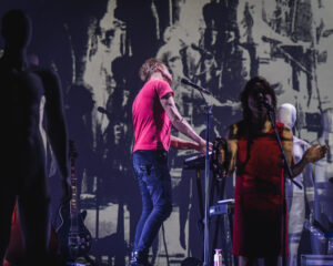 Festival Logo Spinvis