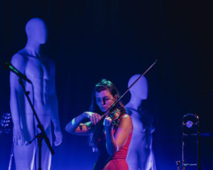 Festival Logo Spinvis