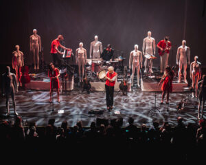 Festival Logo Spinvis