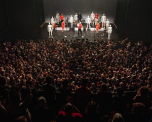 Festival Logo Spinvis