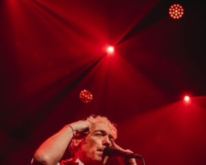 Festival Logo Spinvis