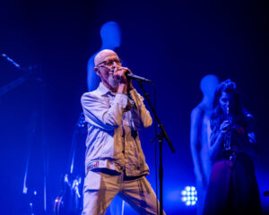 Festival Logo Spinvis