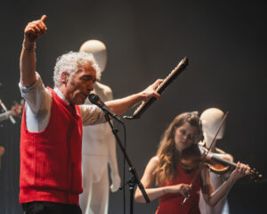 Festival Logo Spinvis