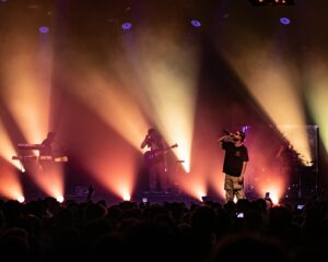 Festival Logo Kevin & the Animals