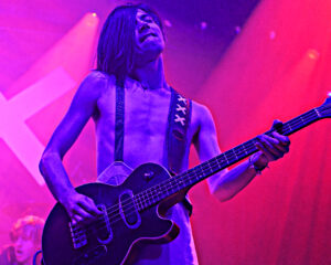 Festival Logo Wunderhorse