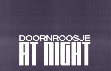 Afbeelding voor Doornroosje At Night: DJ’s in de maand juni