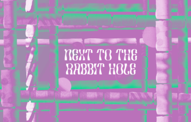 Next To The Rabbirt Hole