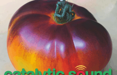 Catalytic Sound Festival