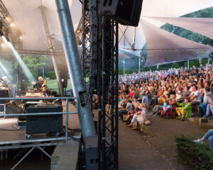 Festival Logo Raymond van het Groenewoud