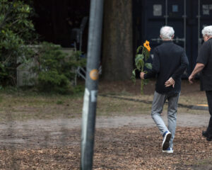 Festival Logo Raymond van het Groenewoud