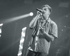 Festival Logo FLEMMING