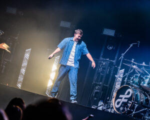 Festival Logo FLEMMING