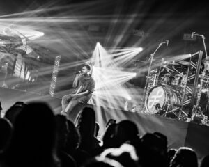 Festival Logo FLEMMING