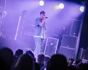 Festival Logo FLEMMING