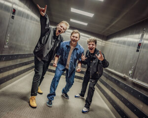 Festival Logo FLEMMING