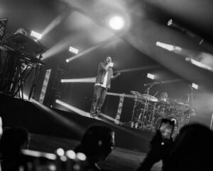 Festival Logo FLEMMING