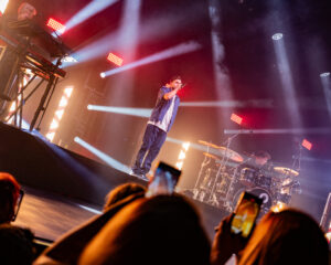 Festival Logo FLEMMING